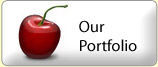 Our Portfolio